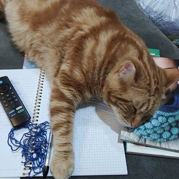 My Flat In London "CLEVER LIKE A FOX" Necklace - Picture 5 of 5